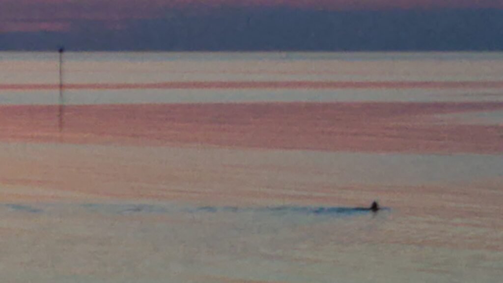 Sunset Swim – After a day on land masquerading as a human a mermaid returns to her natural environment as the sun sinks. Margate, UK | September 2023 | Sony Xperia ZX2